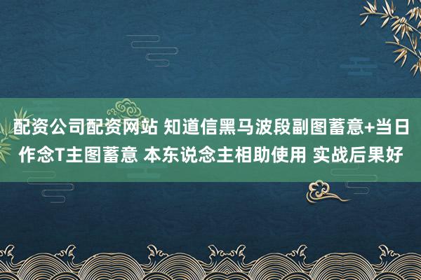 配资公司配资网站 知道信黑马波段副图蓄意+当日作念T主图蓄意 本东说念主相助使用 实战后果好
