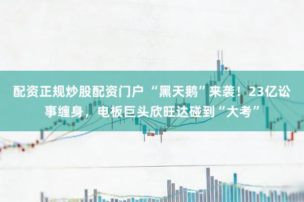配资正规炒股配资门户 “黑天鹅”来袭！23亿讼事缠身，电板巨头欣旺达碰到“大考”