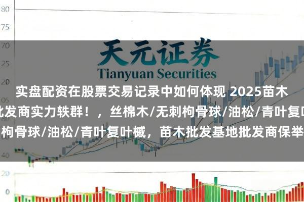 实盘配资在股票交易记录中如何体现 2025苗木批发基地精选,这几家批发商实力轶群!,丝棉木/无刺枸骨球/油松/青叶复叶槭,苗木批发基地批发商保举分析